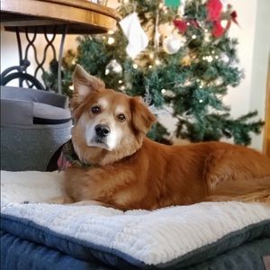 Meet your Posher, Erika